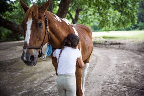 Teenage girl hugging horse in field