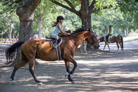 Equestrian girl riding horse on ranch