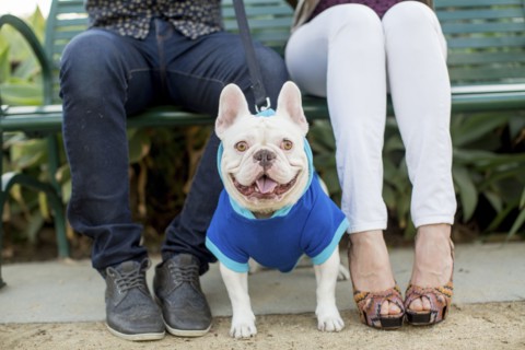Couple sitting on bench with dog