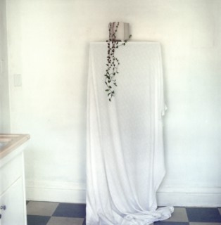 Potted plant and draping curtain on shelf