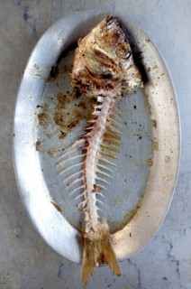 Plate of grilled fish skeleton