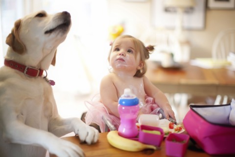 Caucasian girl and dog eating at table