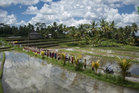 Tourists walking on rural field between farm fields