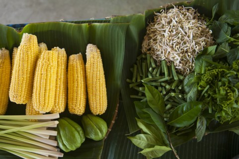 Close up of fresh corn