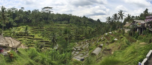 Rural rice terraces on hillside
