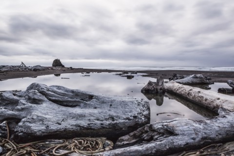 Driftwood and rocks on beach