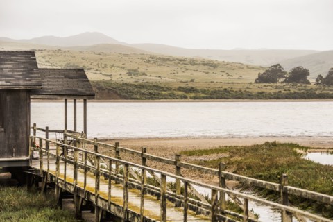 Wooden walkway at rural lake