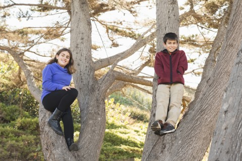 Mixed race siblings smiling in tree