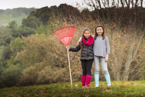 Mixed race sisters raking autumn leaves on lawn