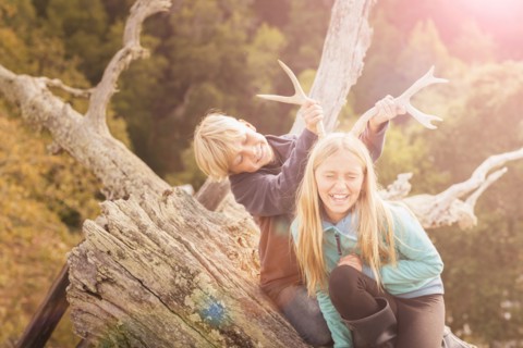 Caucasian brother and sister playing with antlers on tree