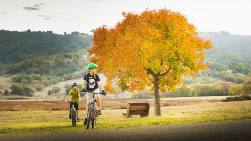 Mixed Race boys bike riding in park