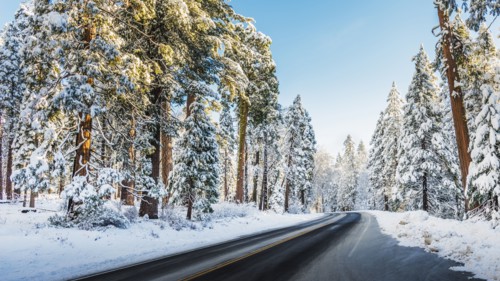 Highway in winter snow