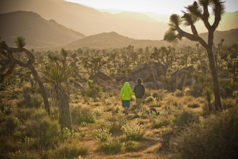 Distant boys walking in desert