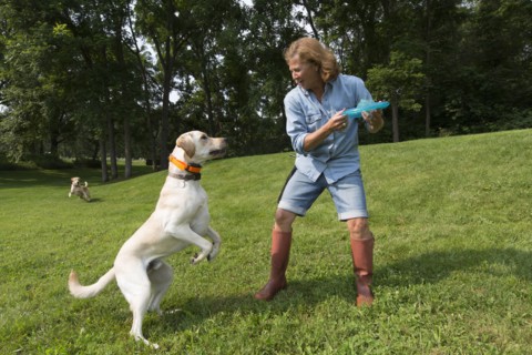 Caucasian woman playing with dog in park