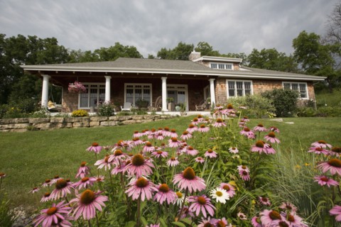 Flowers growing in front lawn of house