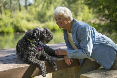 Older Caucasian woman sitting with dog in park