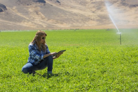 Caucasian farmer using digital tablet in field
