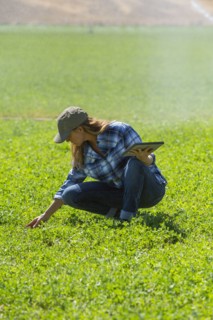 Caucasian farmer using digital tablet in field