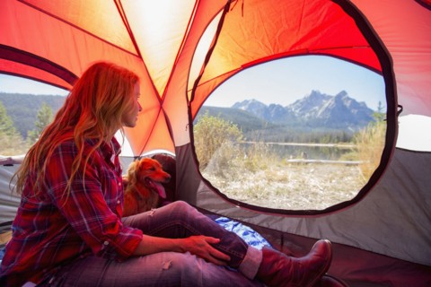 Caucasian woman and dog in camping tent
