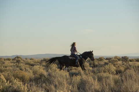 Caucasian woman riding horse in field