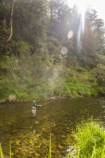 Caucasian woman fishing in remote river