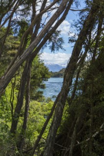 River in remote landscape through trees