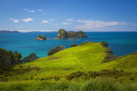 Grassy cliff and remote seascape