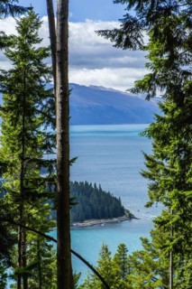 Forested island in remote lake