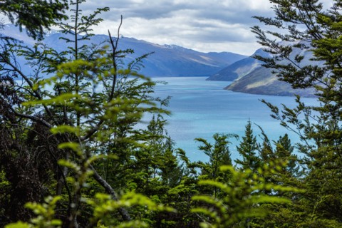 Forested islands in lake