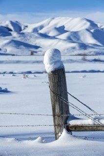 Snow piles on fence in rural landscape