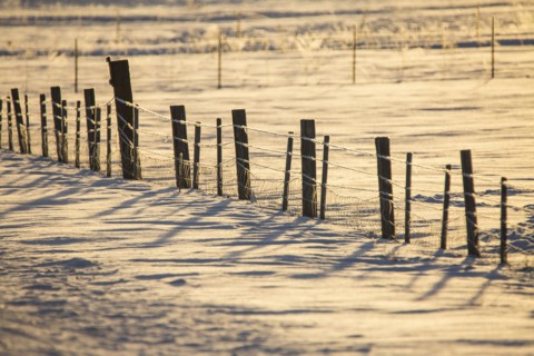 Fence in snowy rural field