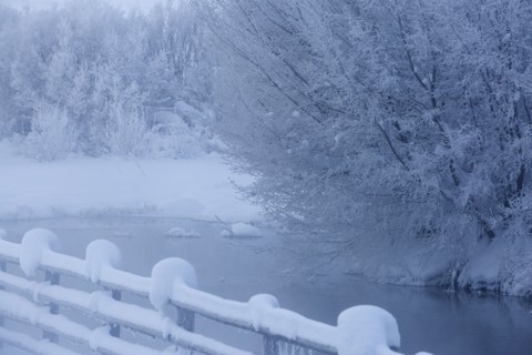 Fence and snowy trees over remote river