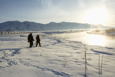 Caucasian couple walking in snowy landscape