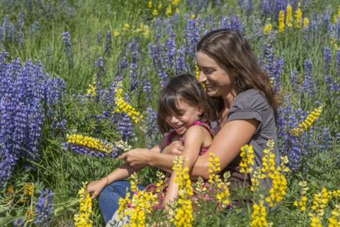 Caucasian mother and daughter sitting on hillside with wildflowers