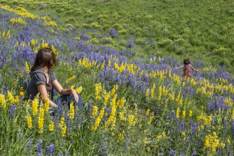 Caucasian mother watching daughter running on hillside with wildflowers