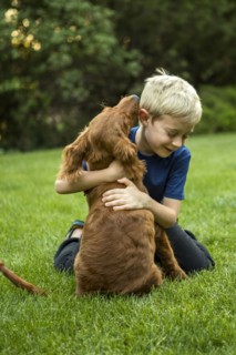 Caucasian boy hugging dog in grass