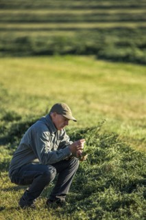 Caucasian farmer crouching in field checking crop