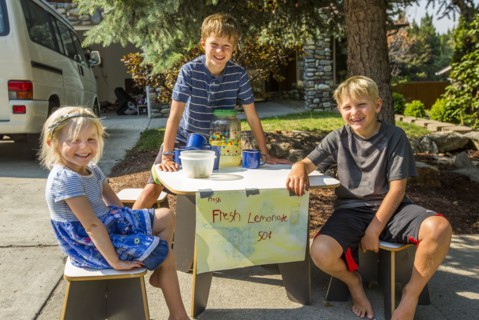 Smiling Caucasian boys and girl selling lemonade