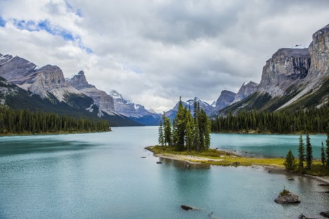 Trees in mountain lake