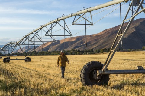 Caucasian farmer walking near irrigation equipment