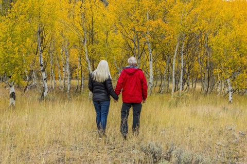 Caucasian couple walking in forest in autumn