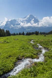 Stream in field near mountains