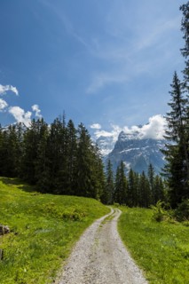 Dirt path toward mountains
