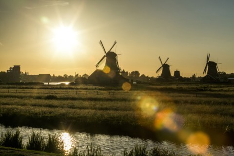 Silhouette of windmills at waterfront