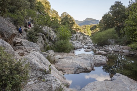 Still river over rocks in remote forest