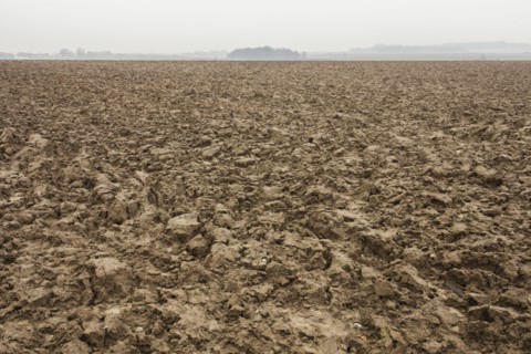 Mounded dirt in Waterloo Battlefield