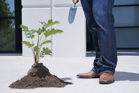 Asian man standing near pile of soil and plant