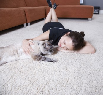 Woman petting cat on floor
