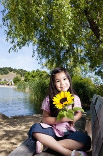 Girl holding sunflower