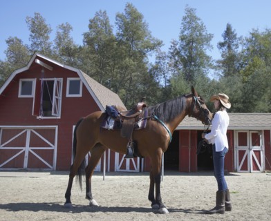 Mixed race girl petting horse on ranch